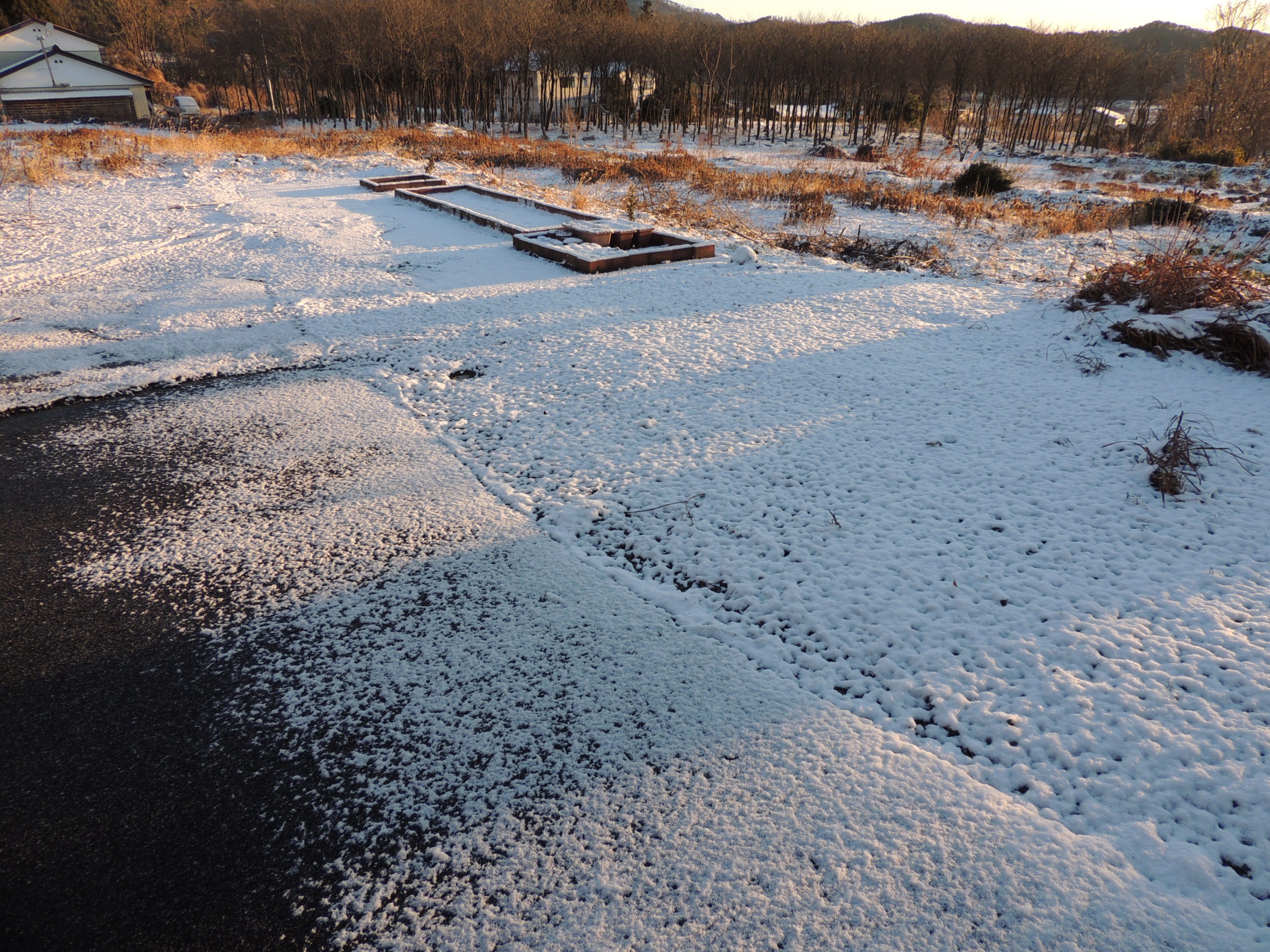 初冠雪&凍結防止タイマー